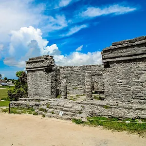 https://alika-204-at-gardens-tulum.tulum-hotels.net
